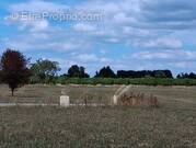 Terrain à VELINES