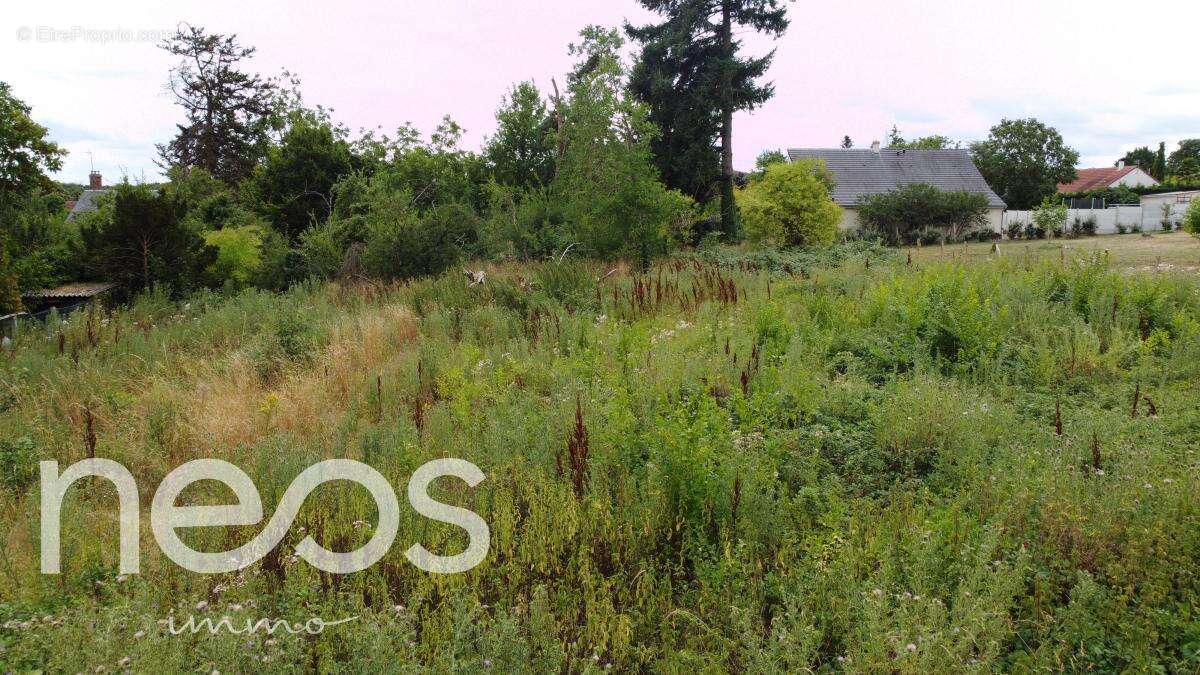 Terrain à SAINTE-THORETTE