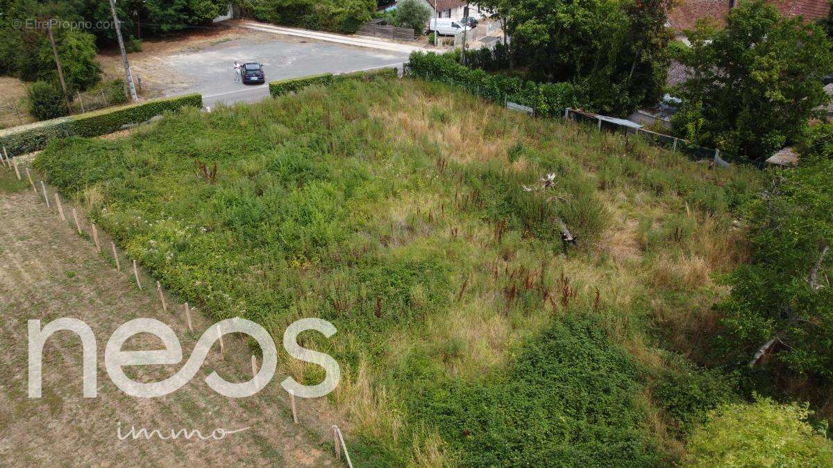 Terrain à SAINTE-THORETTE