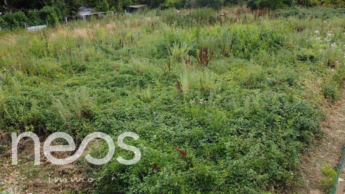 Terrain à SAINTE-THORETTE