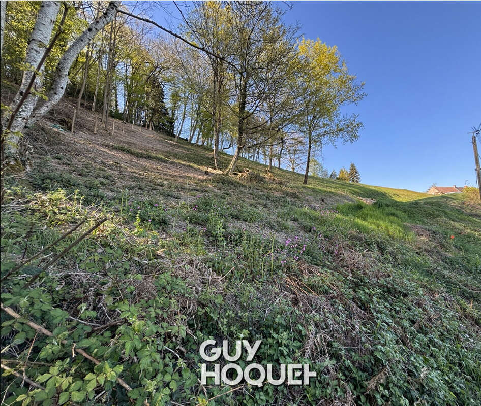 Terrain à SANVIGNES-LES-MINES