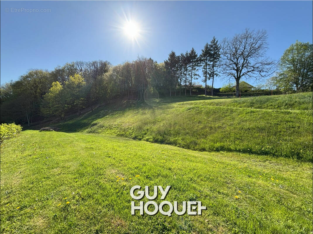 Terrain à SANVIGNES-LES-MINES
