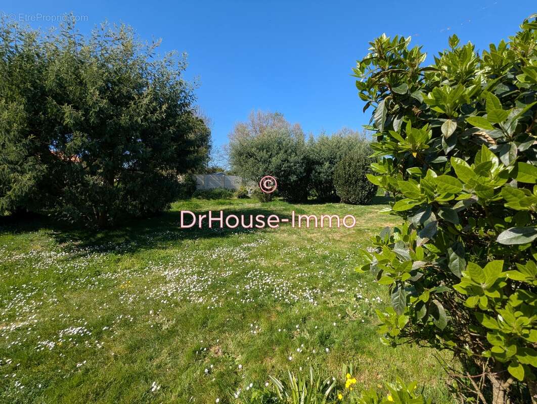 Terrain à L&#039;ILE-D&#039;OLONNE