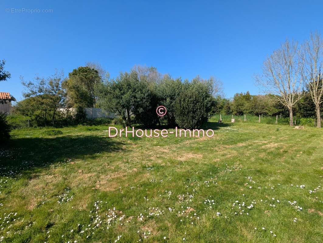 Terrain à L&#039;ILE-D&#039;OLONNE