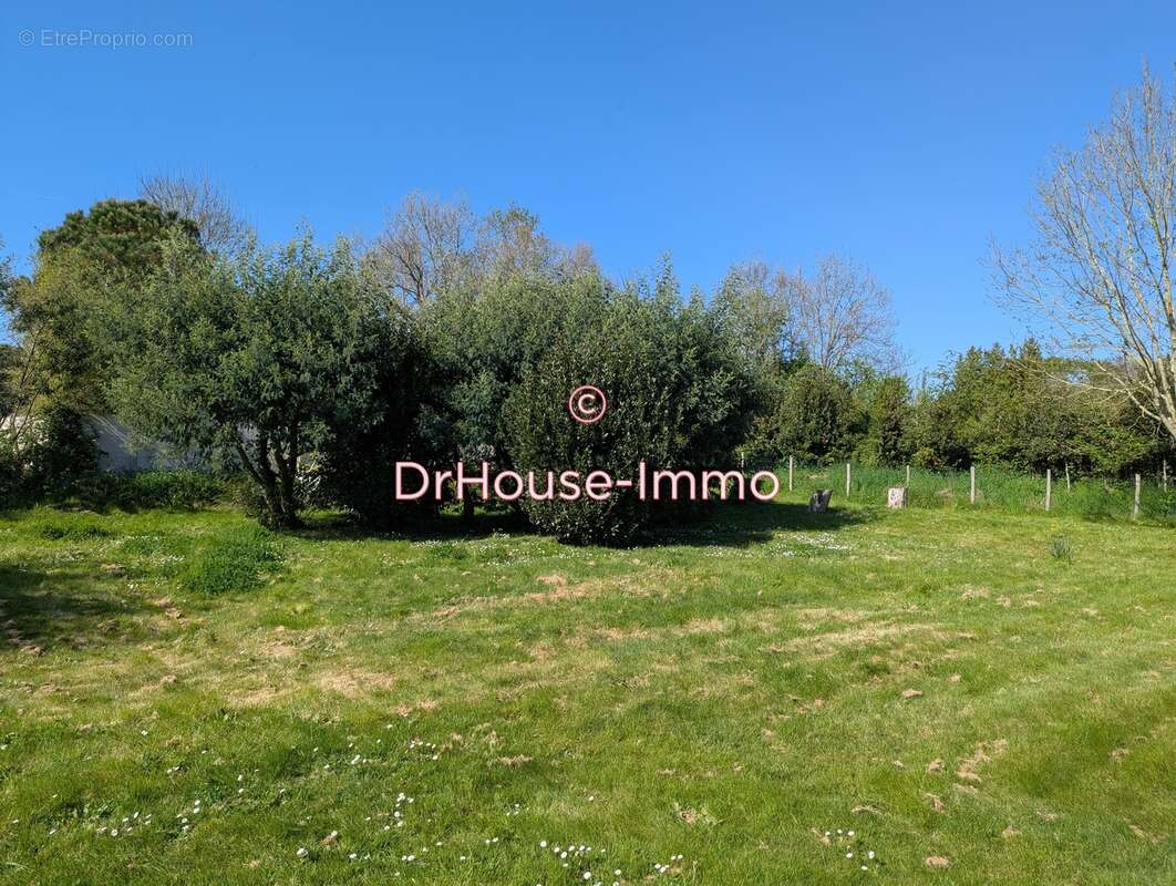 Terrain à L&#039;ILE-D&#039;OLONNE