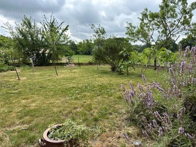 Maison à ROUMAZIERES-LOUBERT