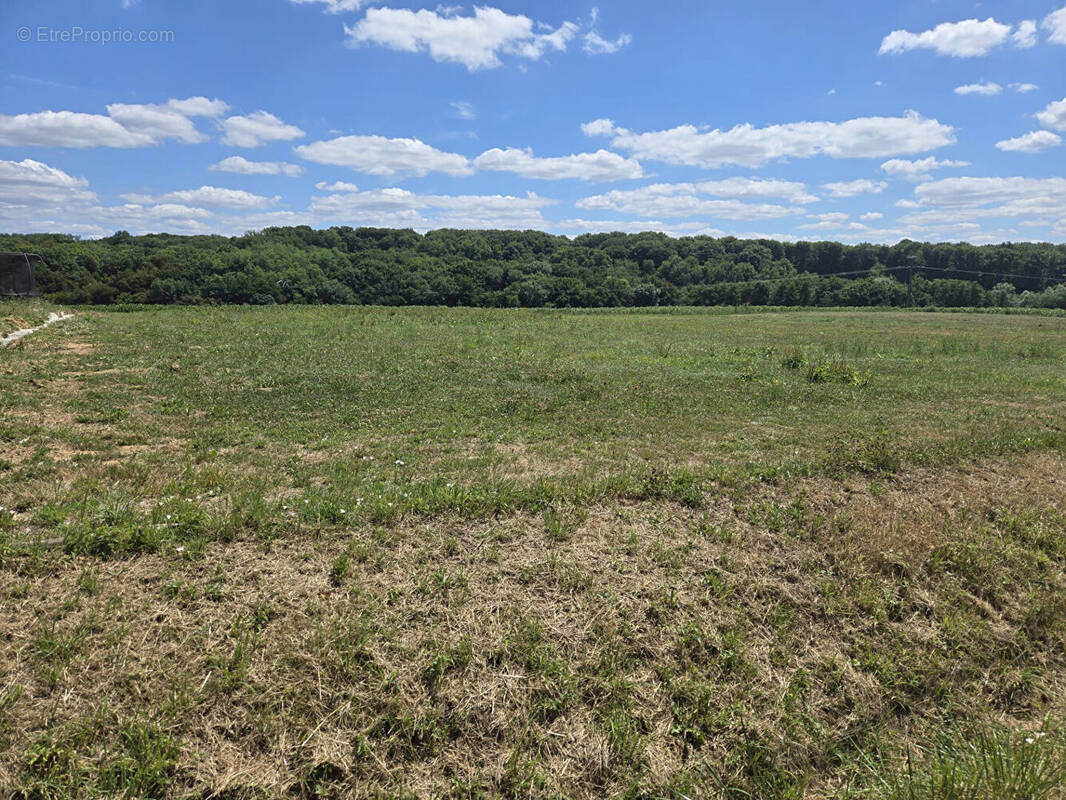 Terrain à DAMPIERRE