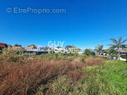 Terrain à LE TAMPON