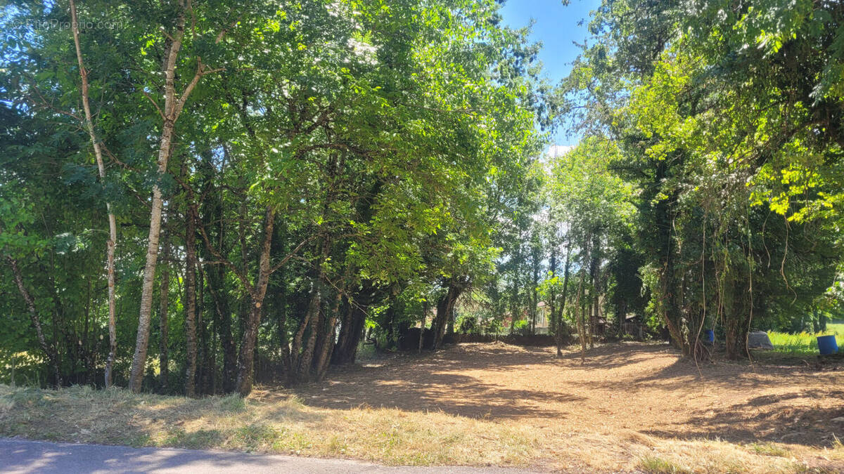 Terrain à BELLEGARDE-SUR-VALSERINE