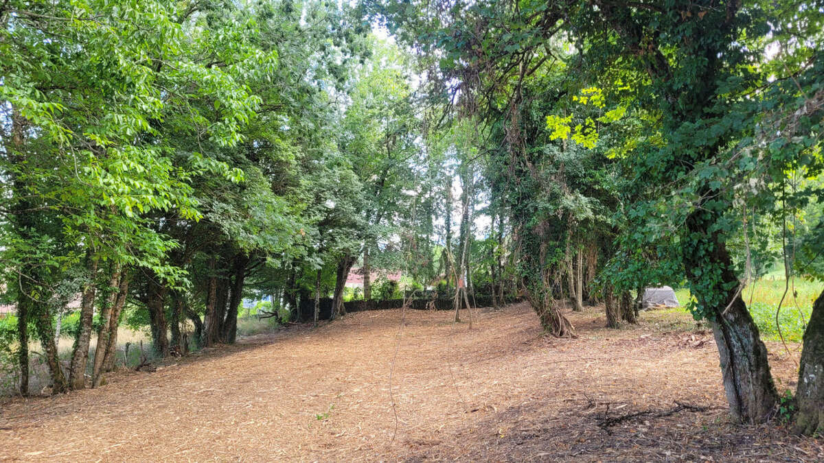 Terrain à BELLEGARDE-SUR-VALSERINE