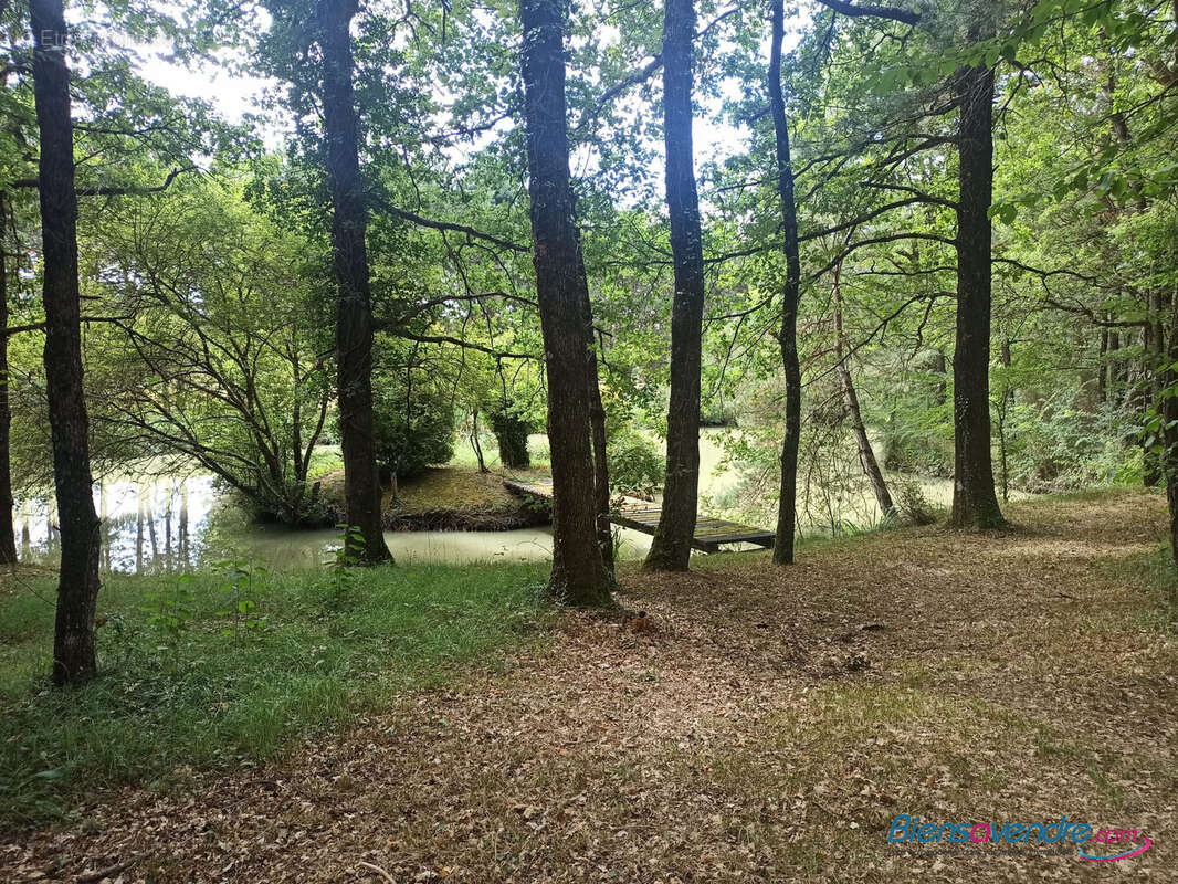 Terrain à MIGNALOUX-BEAUVOIR