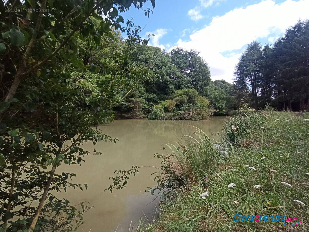 Terrain à MIGNALOUX-BEAUVOIR
