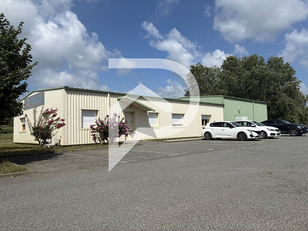 Commerce à PEYREHORADE