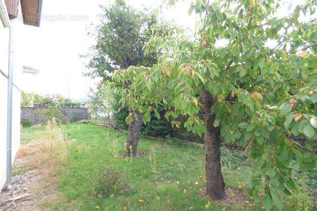 Maison à VILLENEUVE-SUR-LOT