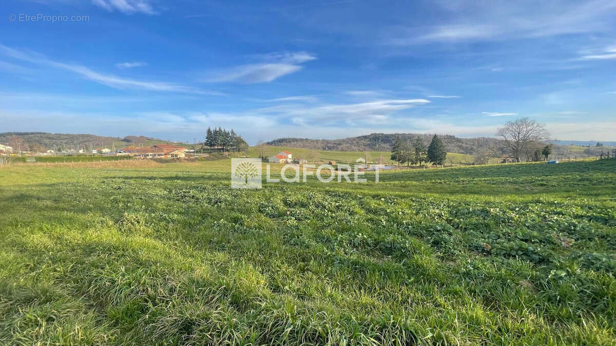 Maison à CHAZELLES-SUR-LYON