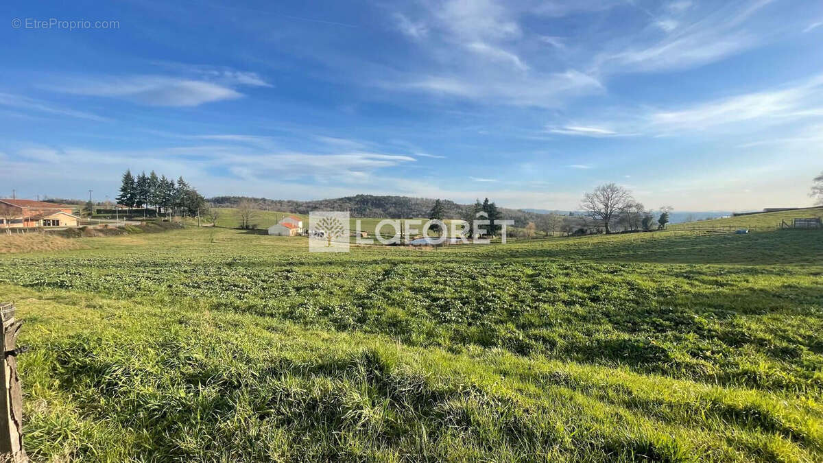 Maison à CHAZELLES-SUR-LYON