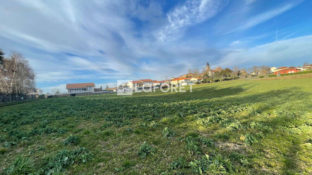 Maison à CHAZELLES-SUR-LYON