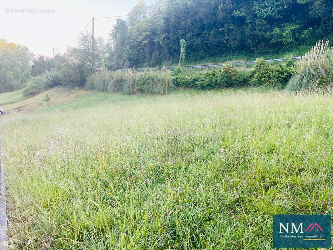Terrain à URCUIT