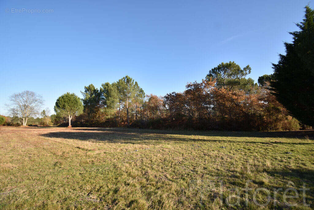 Terrain à SAINT-JEAN-D&#039;ILLAC