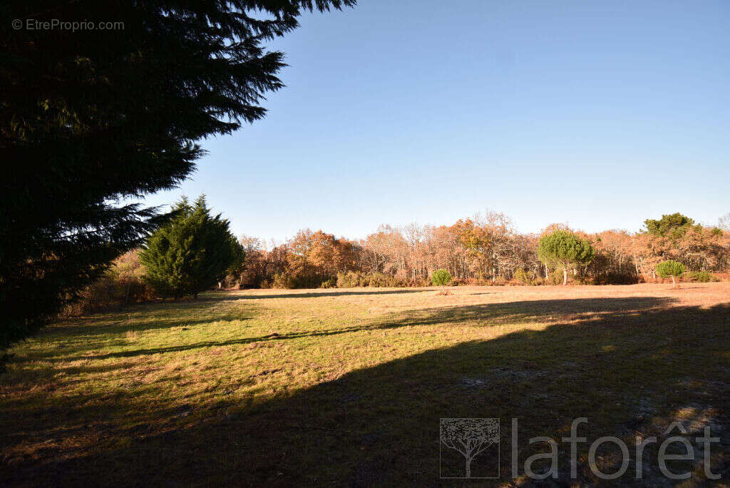 Terrain à SAINT-JEAN-D&#039;ILLAC