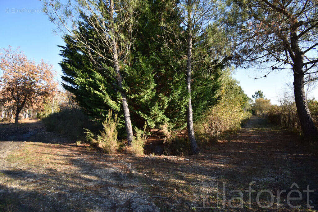 Terrain à SAINT-JEAN-D&#039;ILLAC