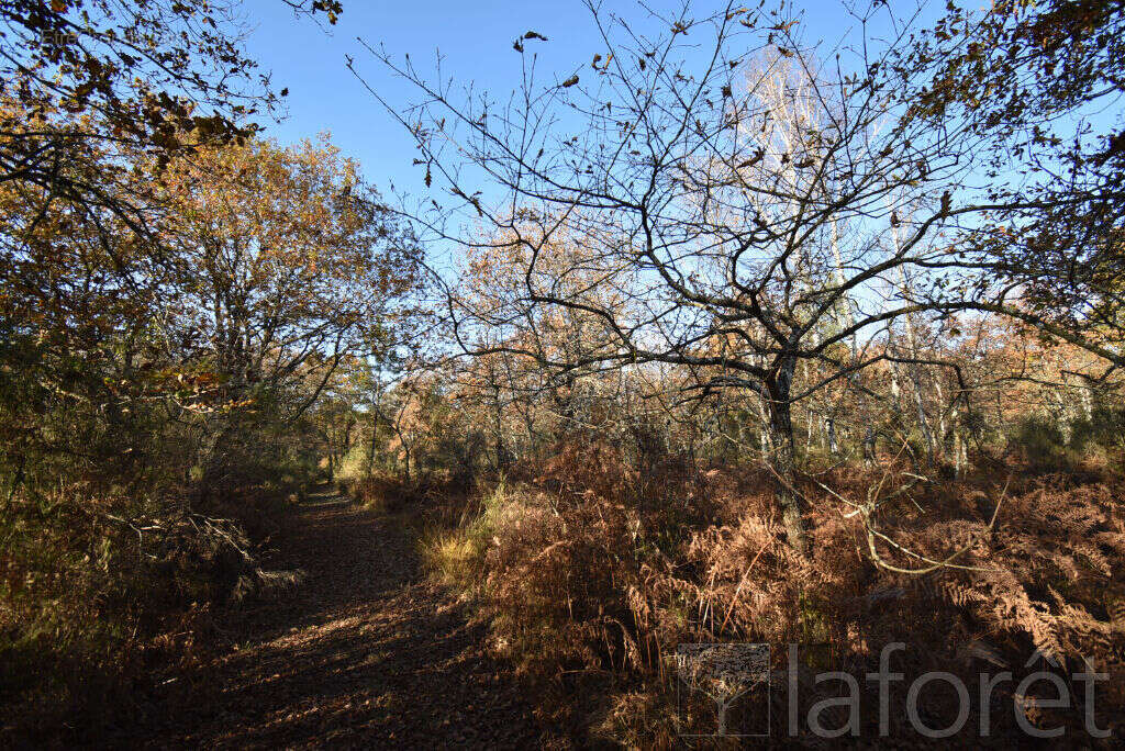 Terrain à SAINT-JEAN-D&#039;ILLAC