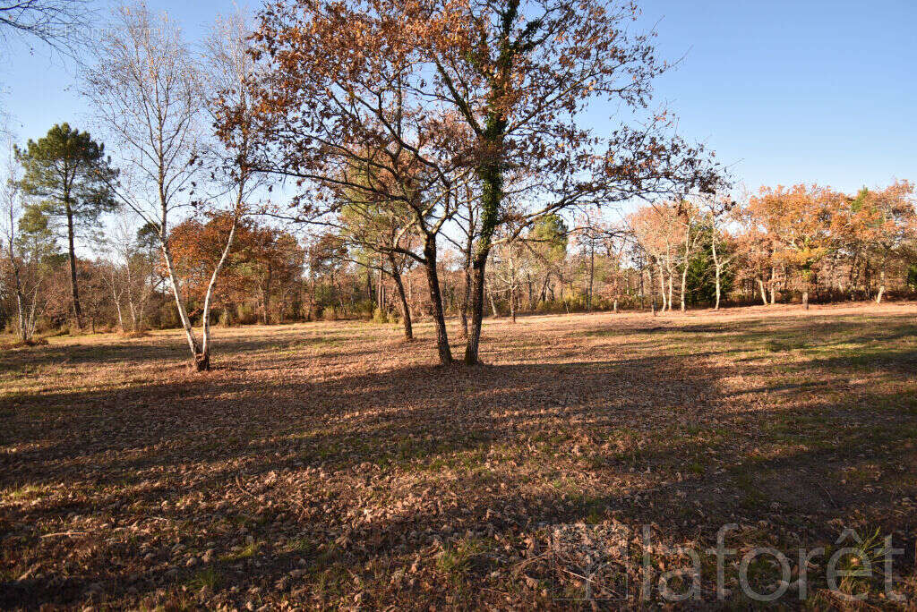 Terrain à SAINT-JEAN-D&#039;ILLAC