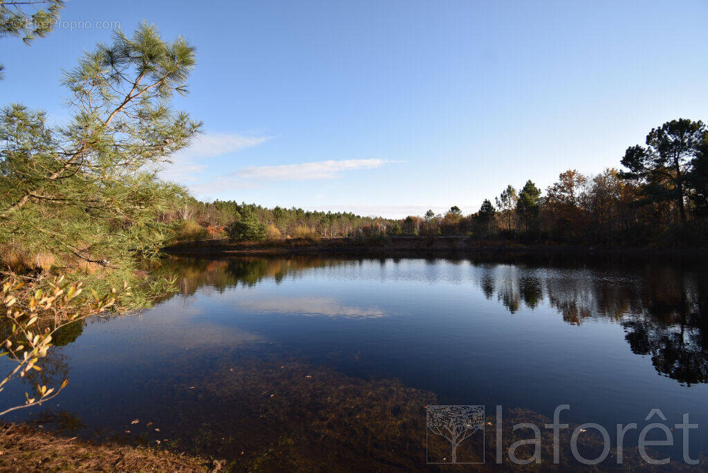 Terrain à SAINT-JEAN-D&#039;ILLAC