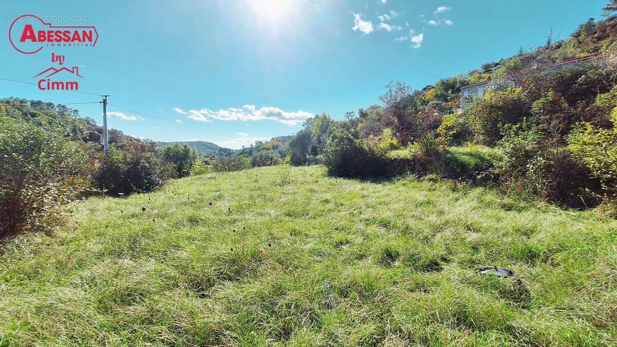 Terrain à SAINT-BRES