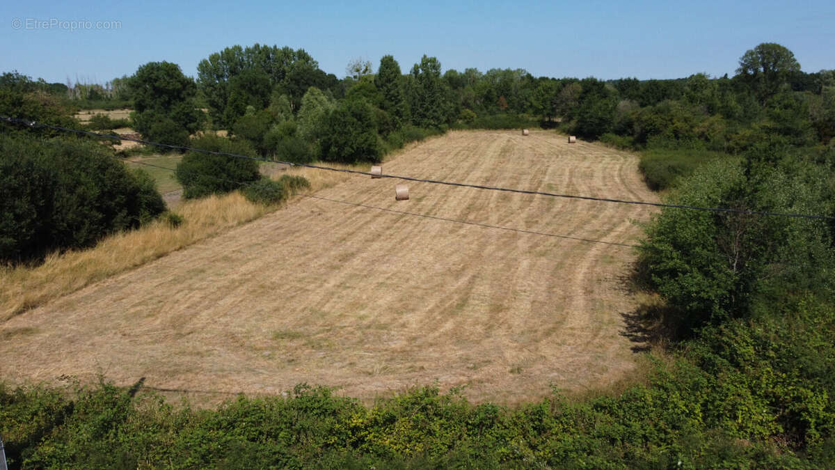 Terrain à PRUNIERS-EN-SOLOGNE