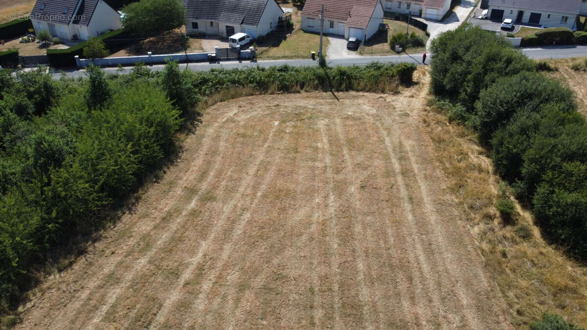 Terrain à PRUNIERS-EN-SOLOGNE