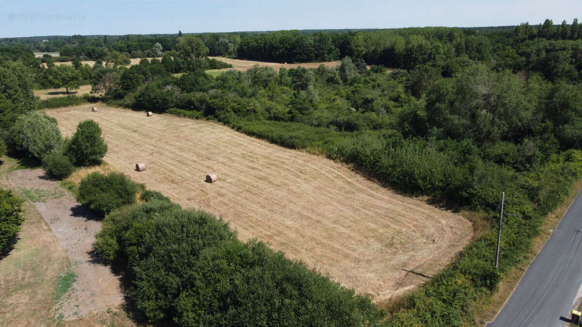 Terrain à PRUNIERS-EN-SOLOGNE