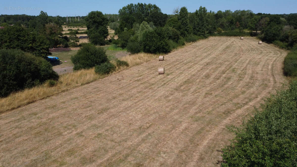 Terrain à PRUNIERS-EN-SOLOGNE