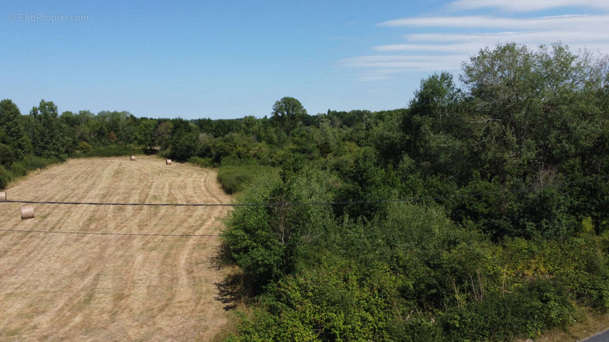 Terrain à PRUNIERS-EN-SOLOGNE
