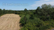 Terrain à PRUNIERS-EN-SOLOGNE