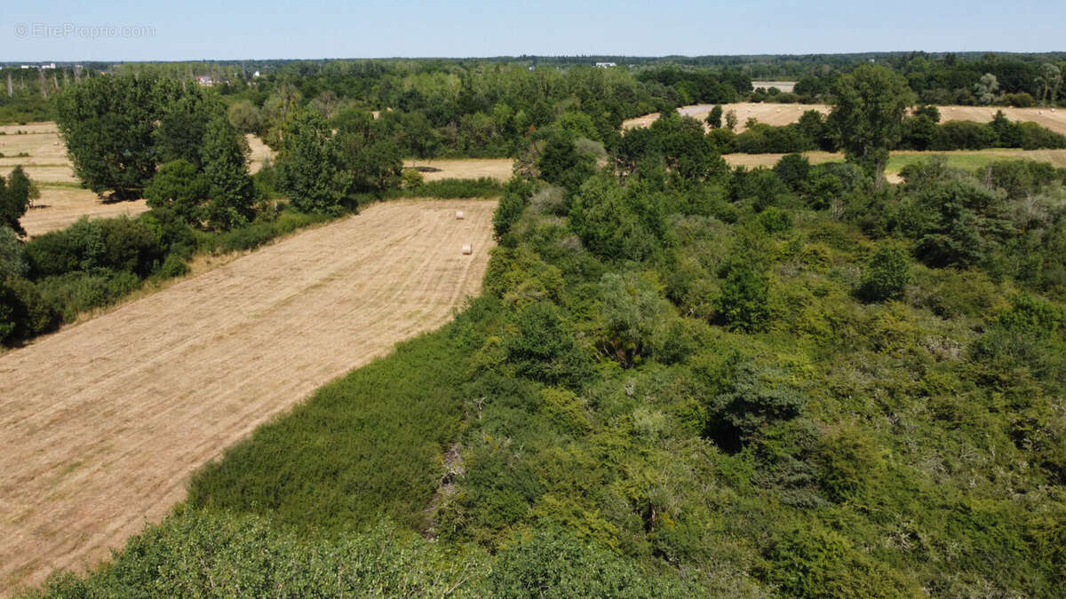 Terrain à PRUNIERS-EN-SOLOGNE