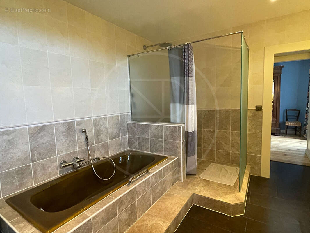 Maison à VILLEFRANCHE-DE-LONCHAT