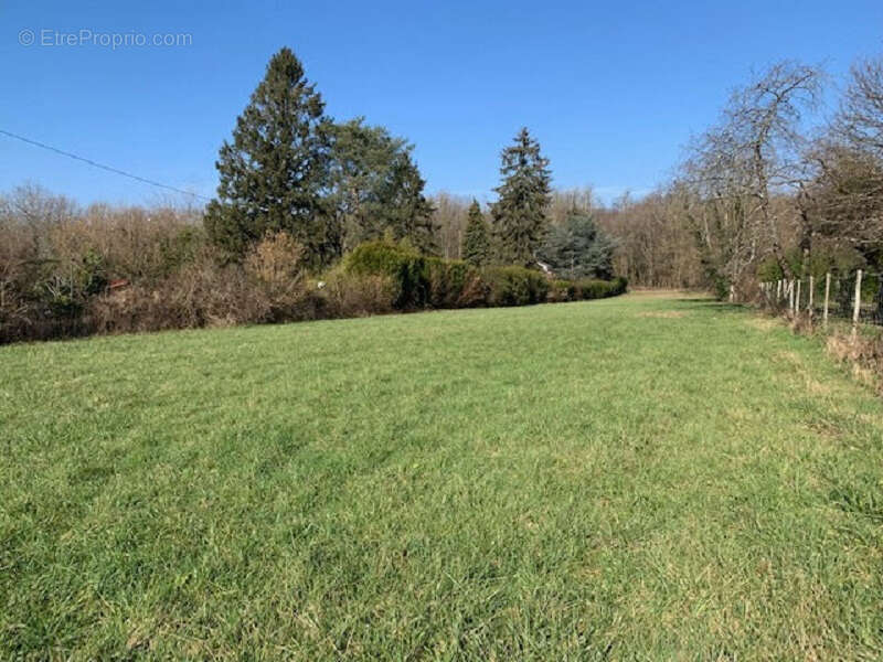 Terrain à MONTIGNY-SUR-LOING
