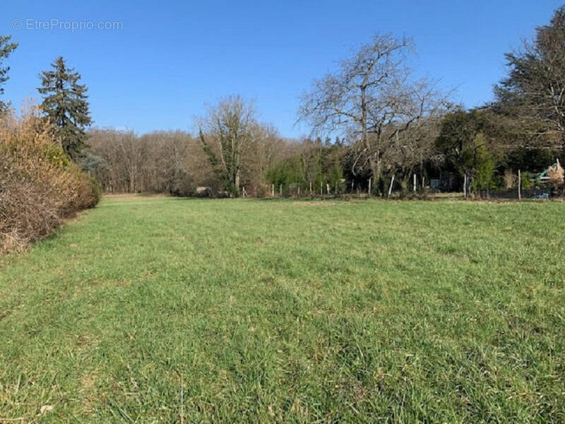 Terrain à MONTIGNY-SUR-LOING
