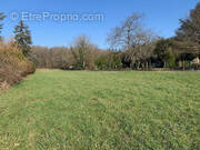 Terrain à MONTIGNY-SUR-LOING