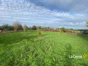 Terrain à SAILLY-LEZ-LANNOY