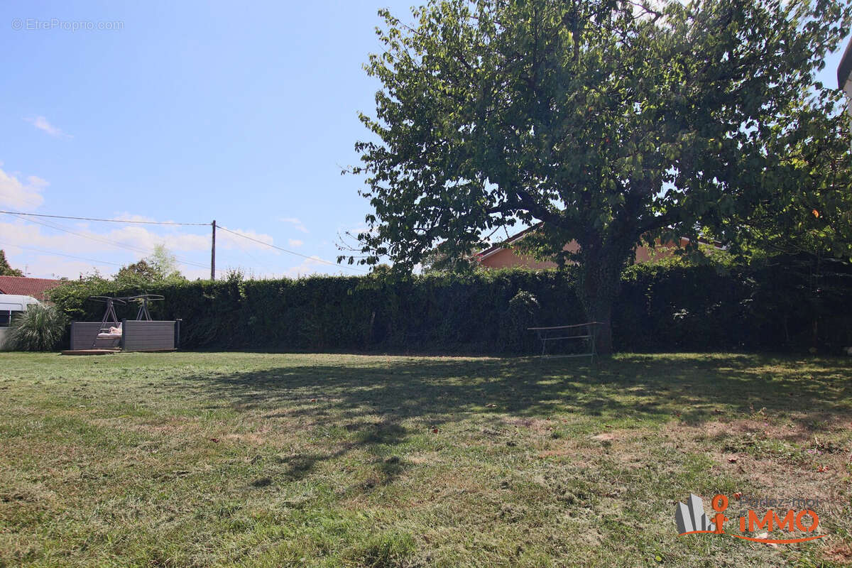 Maison à VILLIEU-LOYES-MOLLON