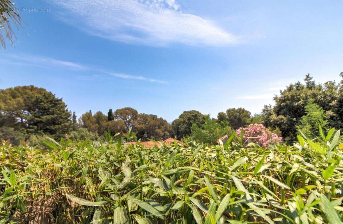 Appartement à ROQUEBRUNE-SUR-ARGENS