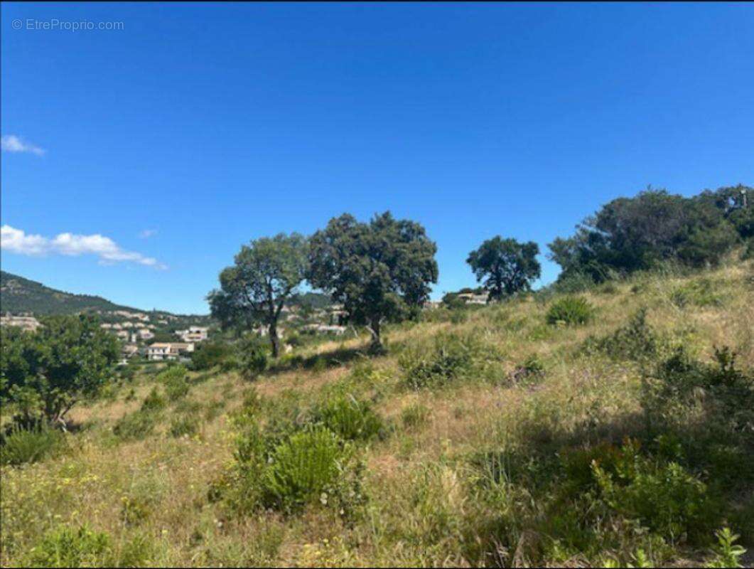 Terrain à ROQUEBRUNE-SUR-ARGENS