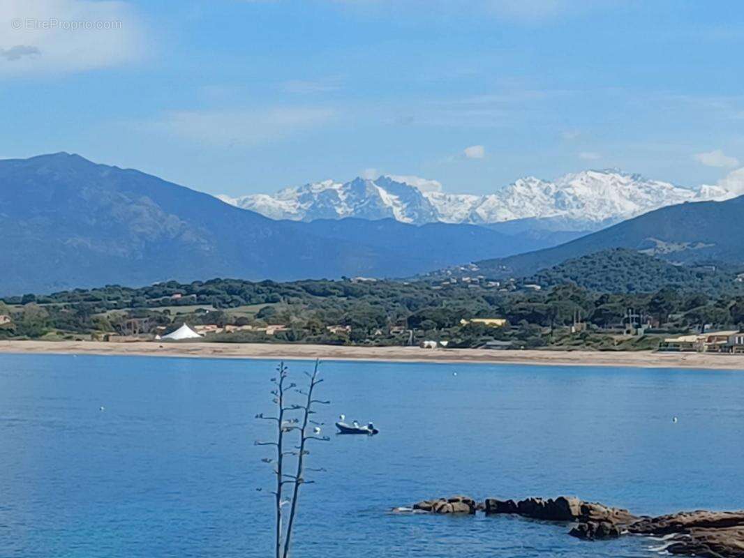 Maison à PIETROSELLA