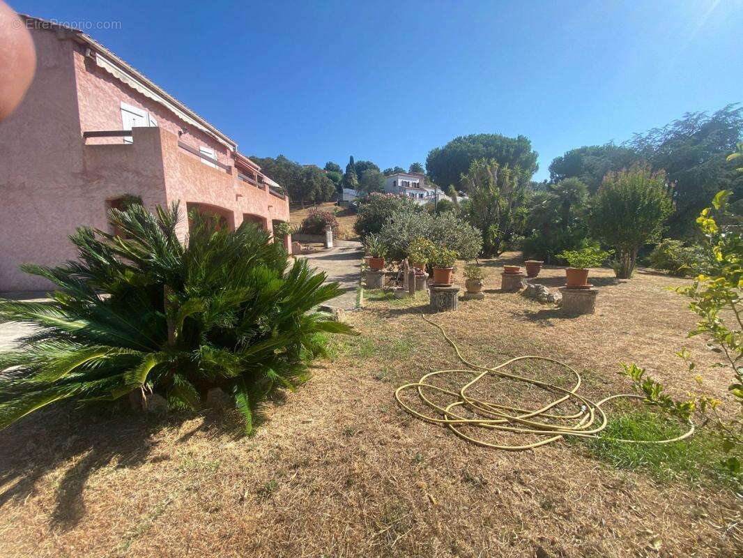 Maison à PIETROSELLA