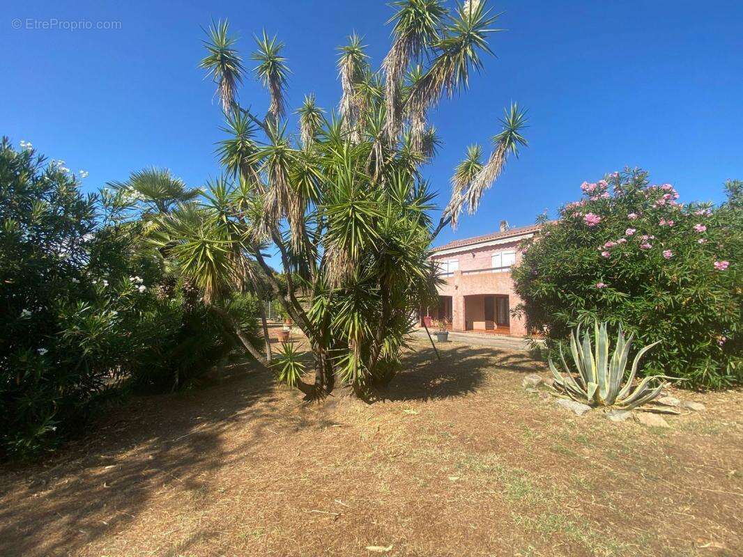 Maison à PIETROSELLA