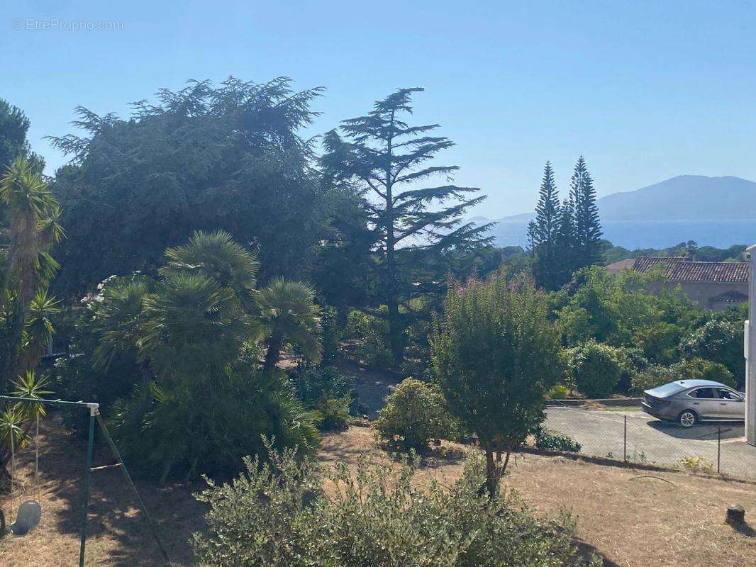 Maison à PIETROSELLA