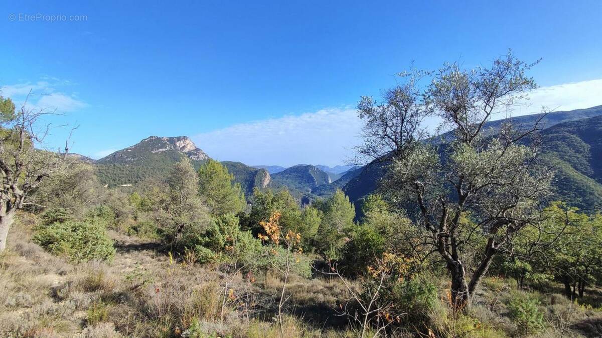 Terrain à PIERREFEU