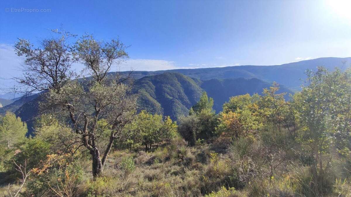 Terrain à PIERREFEU